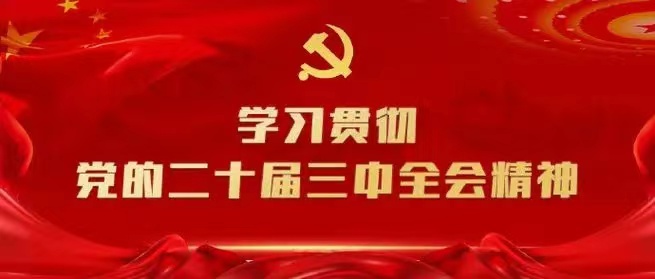 學(xué)習(xí)會(huì)議精神，貫徹落實(shí)工作 --川勘天晟源公司黨支部召開主題黨員大會(huì)
